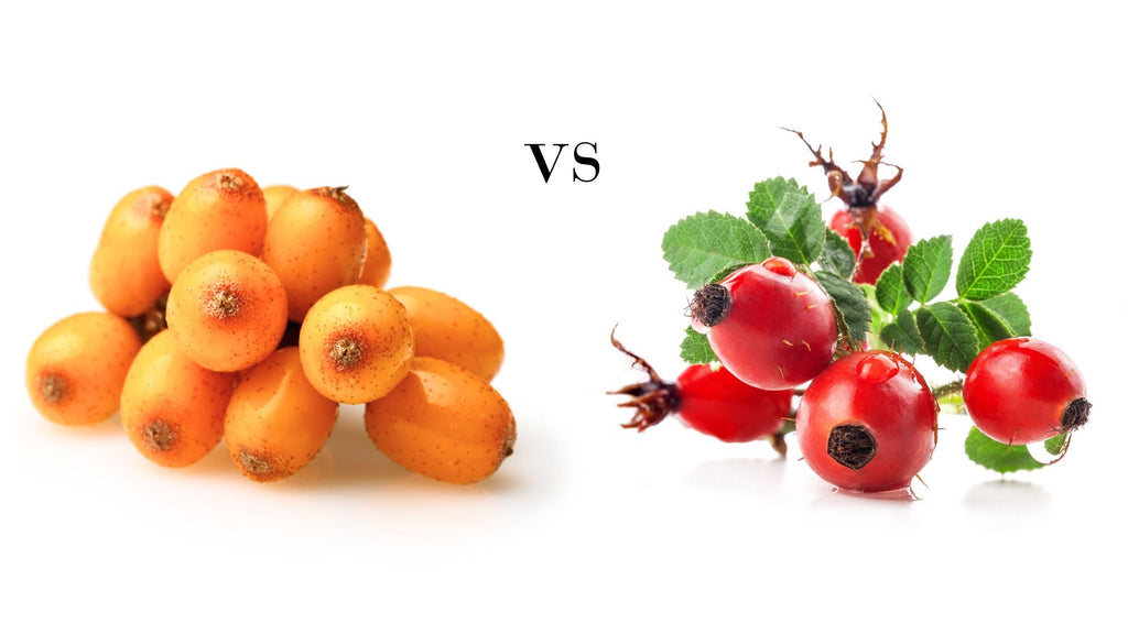 Sea Buckthorn vs Rosehip: Which Glow Oil Wins?