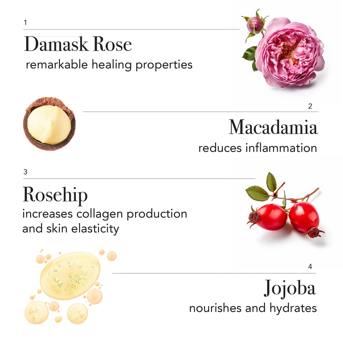 7 Times Luxurious Rose Oil - The Very Good Goo